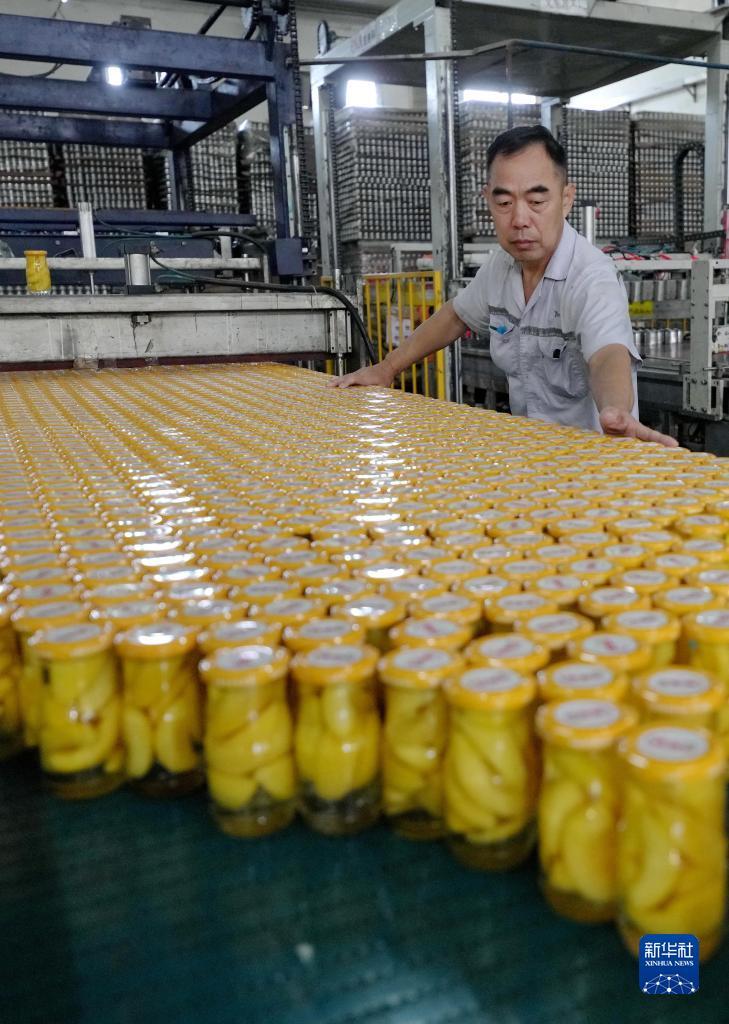 博万通娱乐平台官方网